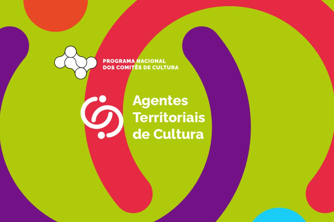 imagem_2024-07-30_155925019